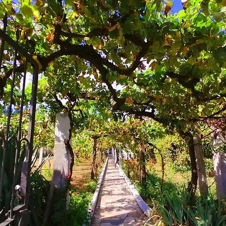 몬포르테데레모스 Morin Grey Casa En El Corazon De La Ribeira Sacra 빌라 외부 사진