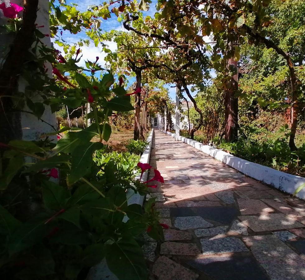 몬포르테데레모스 Morin Grey Casa En El Corazon De La Ribeira Sacra 빌라 외부 사진