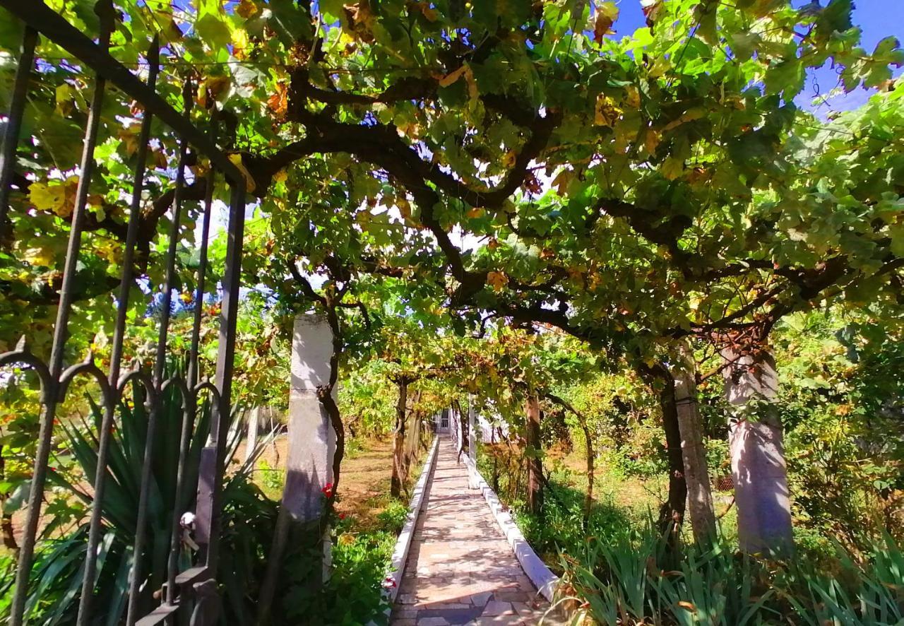 몬포르테데레모스 Morin Grey Casa En El Corazon De La Ribeira Sacra 빌라 외부 사진