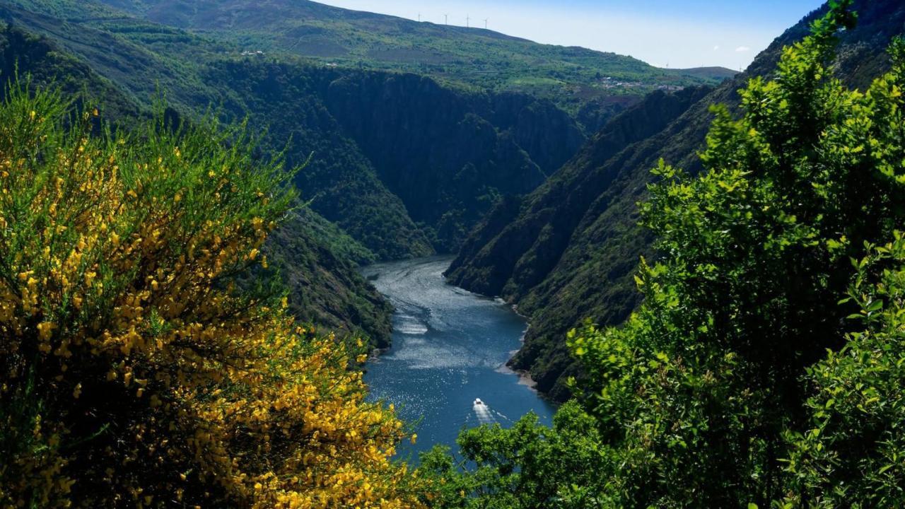 몬포르테데레모스 Morin Grey Casa En El Corazon De La Ribeira Sacra 빌라 외부 사진