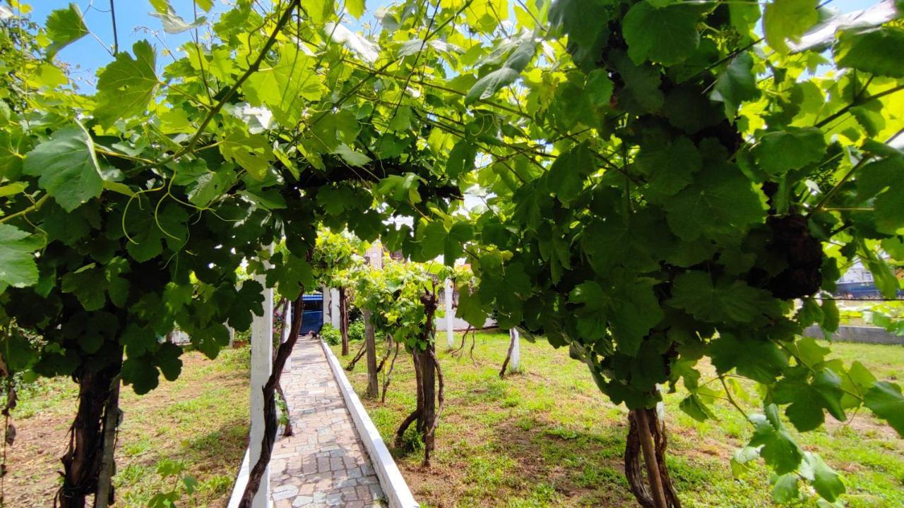 몬포르테데레모스 Morin Grey Casa En El Corazon De La Ribeira Sacra 빌라 외부 사진