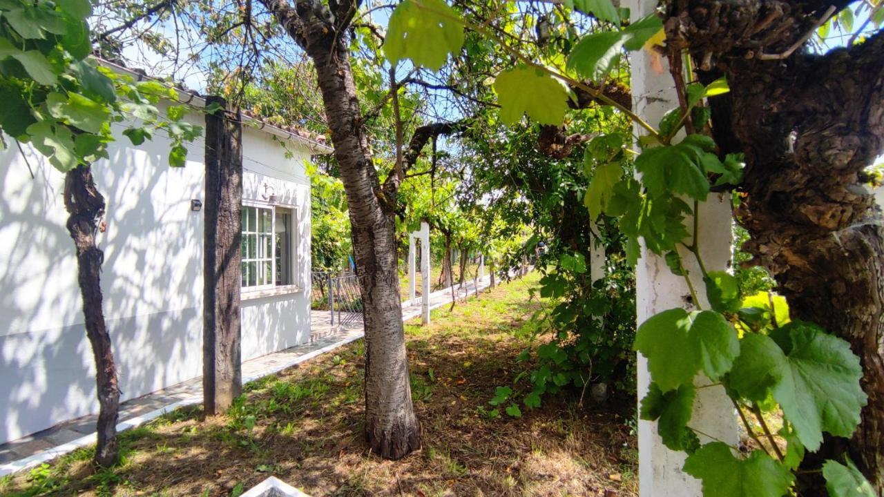 몬포르테데레모스 Morin Grey Casa En El Corazon De La Ribeira Sacra 빌라 외부 사진